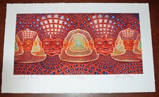 Alex Grey Net of Being Art Print S/# 300 Tool Lateralus Backdrop Poster Art picture