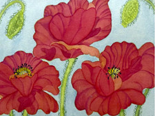 PAINTING WATERCOLOR 11X14 AND  DOUBLE MAT 16X20 FLOWER POPPY RED ORANGE ORIGINAL picture