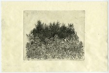 Antique Master Print-LANDSCAPE-Noordhoek-ca. 1946 picture