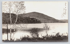 c1905 Lake View Birches Mountain Peacham VT RPPC Caledonia County picture
