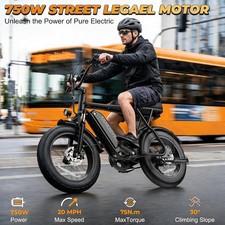 Tamobyke 749W 19.9mph 36V/13Ah 20