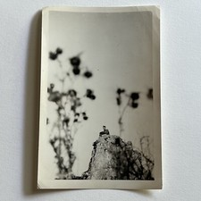 Vintage B&W Snapshot Photograph Military Man On Rock Cliff Great Composition picture