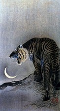 Roaring Tiger 30x44 Japanese Art Print by Koson Asian Art Japan Warrior picture