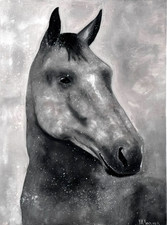 ORIGINAL OIL PAINTING HORS PORTRAIT STRETCH CANVAS SIGNED picture
