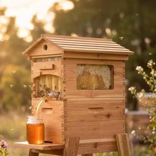 Automatic Beehive Starter Kit Cedarwood Beekeeping Box with 7pcs Auto Bee Frames picture