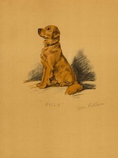 1930s Vintage Lucy Dawson Golden Retriever Print Golden Retriever Art 7115k picture