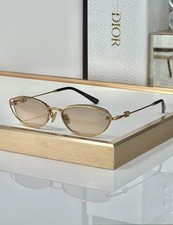 Dior Petit CD B1U Metal Frame Sunglasses Beige Lens 54□17‑140 Classic Luxury Eye picture