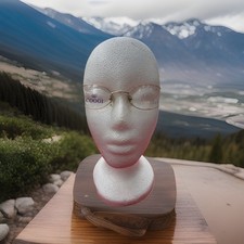 Coogi x Paolo Gucci Gold-Rimmed Eyeglasses Pg 7429 picture