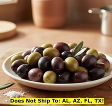 Leccino Olive Tree 18