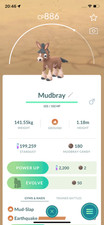 #749 Mudbray  Same Day Shippment or Next Day Guaranteed picture
