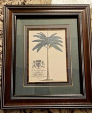 Dionysius Palm Print Dionysius Ehret Art Print (Frederick Prince Of Wales) Rare. picture