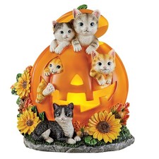 Collections Etc Hand-Painted LED Lighted Pumpkin Cats Tabletop Decoration picture