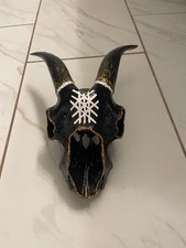 Goat Skull hand painted with rune design picture