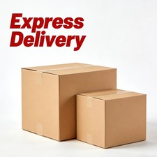 Express Delivery picture
