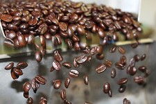 WORLD TOUR FRESH ROASTED COFFEE SAMPLER # 1 MEDIUM ROASTED 5 BAGS 1 POUND EACH picture