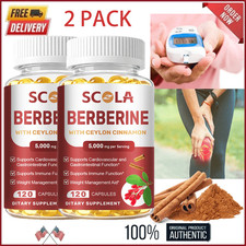 Premium Berberine HCL 5000mg Plus Organic Ceylon Cinnamon - 240 Capsules picture