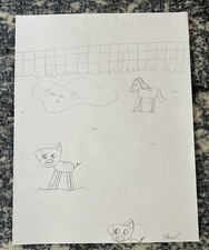 Pencil Sketch Hand Drawn Portrait of Animals on the Farm By Child A4  picture