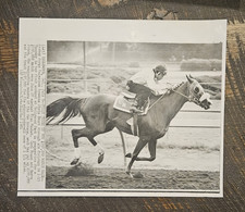 1974 AP Wire/Press Photo, Chris Evert Before $350K Match Race at Hollywood Park picture