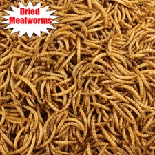 Wholesale Bulk Dried Mealworms for Wild Birds Food Blue Bird Chickens Hen Treats picture
