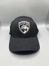 Florida Panthers Snapback Hat 47 Brand Black NHL Hockey Side Patch Florida Flag picture