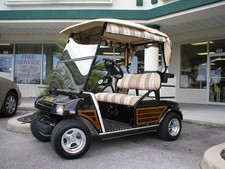 Club Car DS Model Golf Cart Woody Kit  picture