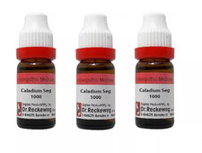 3 x Dr. Reckeweg Germany Caladium Seguinum Dilution 1000 CH (1M) (11ml Each) picture
