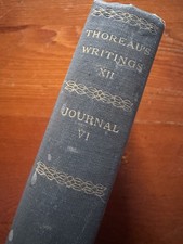 1906 Henry David Thoreau Journal Vol VI HC Antique Illustrated Vintage Book picture