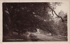 Dodderhill Common England Country Lane Trees RPPC Vtg Postcard J62 picture