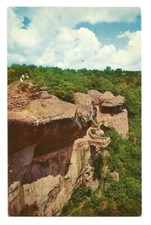 Chattanooga TN Postcard Tennessee Terrace Lookout Mountain Rock City picture