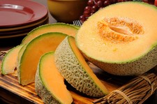 Iroquois Melon Seeds, NON-GMO, American Cantaloupe, Muskmelon,  picture