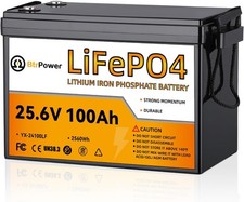 24V 100Ah LiFePO4 BtrPower Lithium Battery for RV Marine Solar System 100A BMS picture