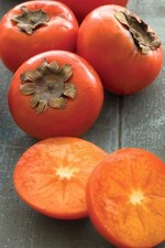 American Persimmon Tree – Diospyros virginiana – Live Plant - 2'-3' tall picture