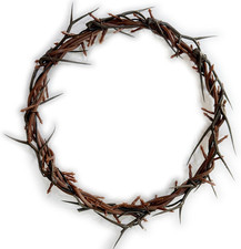 Jesus Crown of Thorns, Decay-Resistant Crown of Thorns - JesusChrist Symbol, Per picture