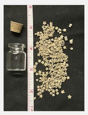 Utah Fossil Star Crinoid Pentacrinus Jurassic Age Echinoderm picture
