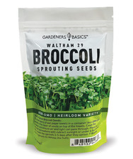 Waltham 29 Broccoli Sprouting Seeds - 1 Pound picture