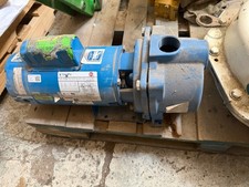Goulds GT15 1.5 HP Self-Priming Single Phase Centrifugal Pump - Blue picture