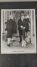 Press Release Photo of Alfred Hitchcock Dog Walking In The City picture