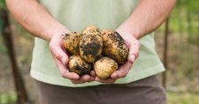 SHTF Gardening Farm Growing Your Own Food Prepper Survival Food Shortage USB picture