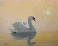 FRASE ORIGINAL PAINTING WILDLIFE BIRD ART MUTE SWAN DU DNR DUCK STAMP ARTIST picture