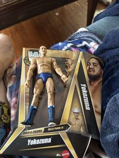 WWE Legends Build A Figure Dory Funk Jr picture