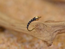 Tungsten BH Black Zebra Midge Nymph Fly - 1 Doz Flies - Mustad Signature Hooks picture