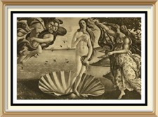 115+ yr Old Original c1910 Antique Print BIRTH OF VENUS Mythology by Botticelli picture