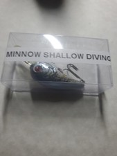 Shallow Minnow picture