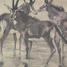 Vintage Mid Century Simon Hodge African Sable Antelope Framed Print Retro 1960s picture