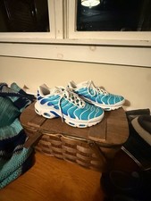 Nike Air Max Plus Sneakers Blue White picture