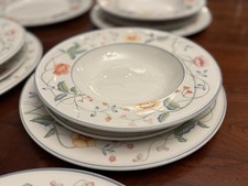 Vintage Villeroy & Boch ALBERTINA Dinner Salad Plates Rim Soup Bowls Lot of 15 picture