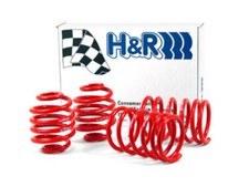 Coil Spring Lowering Kit-Race Spring H&R SPECIAL SPRINGS 50404-88 picture