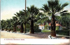 California Residence Street Palm Trees Antique Postcard UNP Unused DB Germany picture