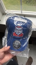 New University Of Arizona Wildcats Logo Blue Hat - Desert Cactus picture