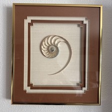 RARE Vintage Nautilus Sliced Seashell in Custom Gold Framed & Matted 13”x12” Art picture